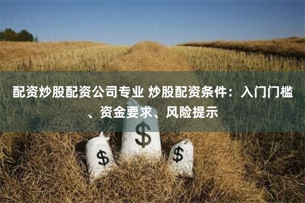 配资炒股配资公司专业 炒股配资条件：入门门槛、资金要求、风险提示