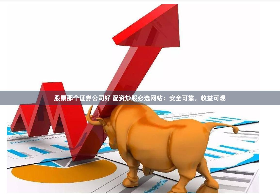 股票那个证券公司好 配资炒股必选网站：安全可靠，收益可观