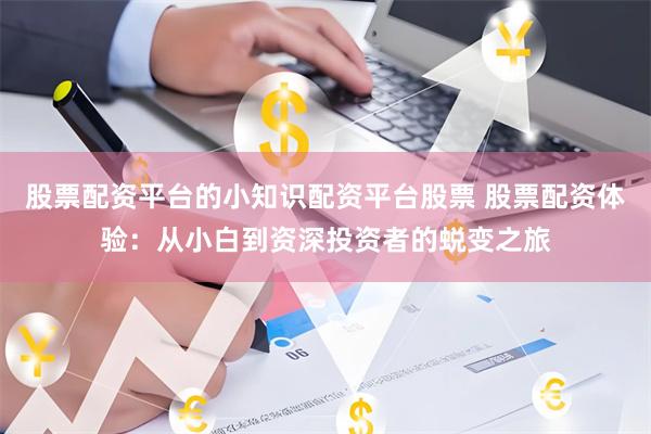 股票配资平台的小知识配资平台股票 股票配资体验：从小白到资深投资者的蜕变之旅